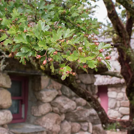 Holiday home Cnoc Suain Galway