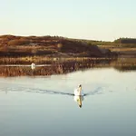 Casa de Férias Cnoc Suain Galway