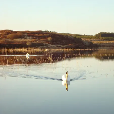 Dom wakacyjny Cnoc Suain Galway