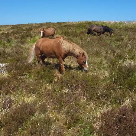 Ferienhaus Cnoc Suain Galway