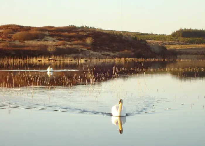 Ferienhaus Cnoc Suain Galway