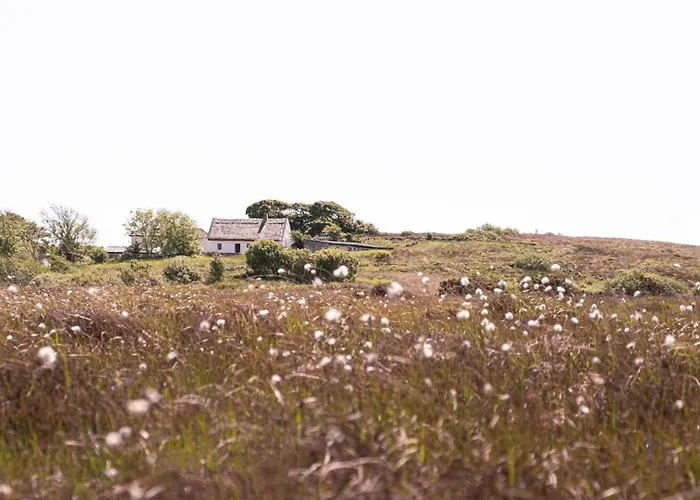 Cnoc Suain Nyaraló *